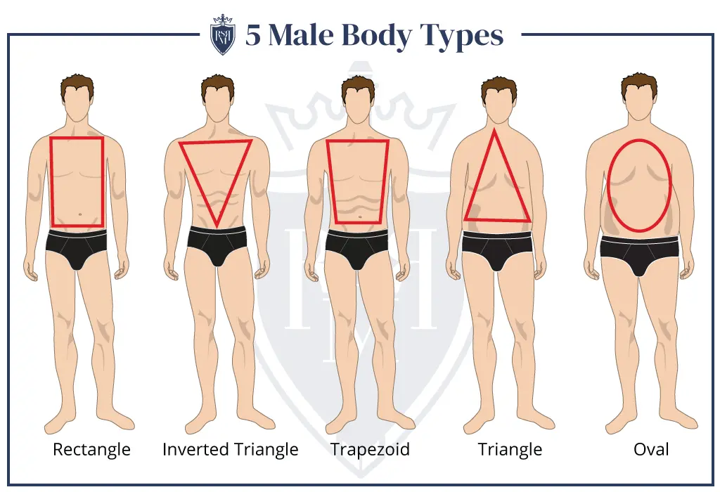 infographic male body types