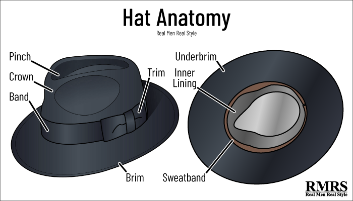 hat anatomy infographic